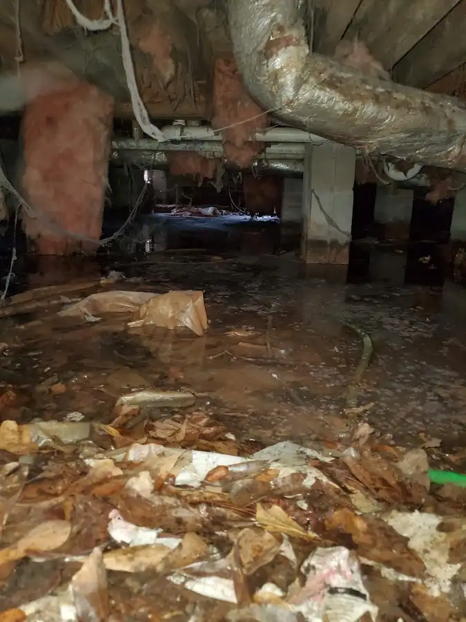 Crawl space flood assessment for Commercial Water Damage Restoration in Woodbury