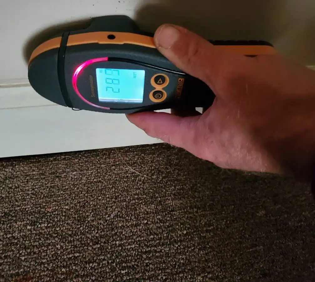 Moisture detection at baseboard during Sewage Cleanup & Sanitation in Woodbury
